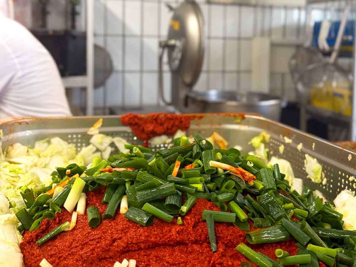 kimchi selber machen