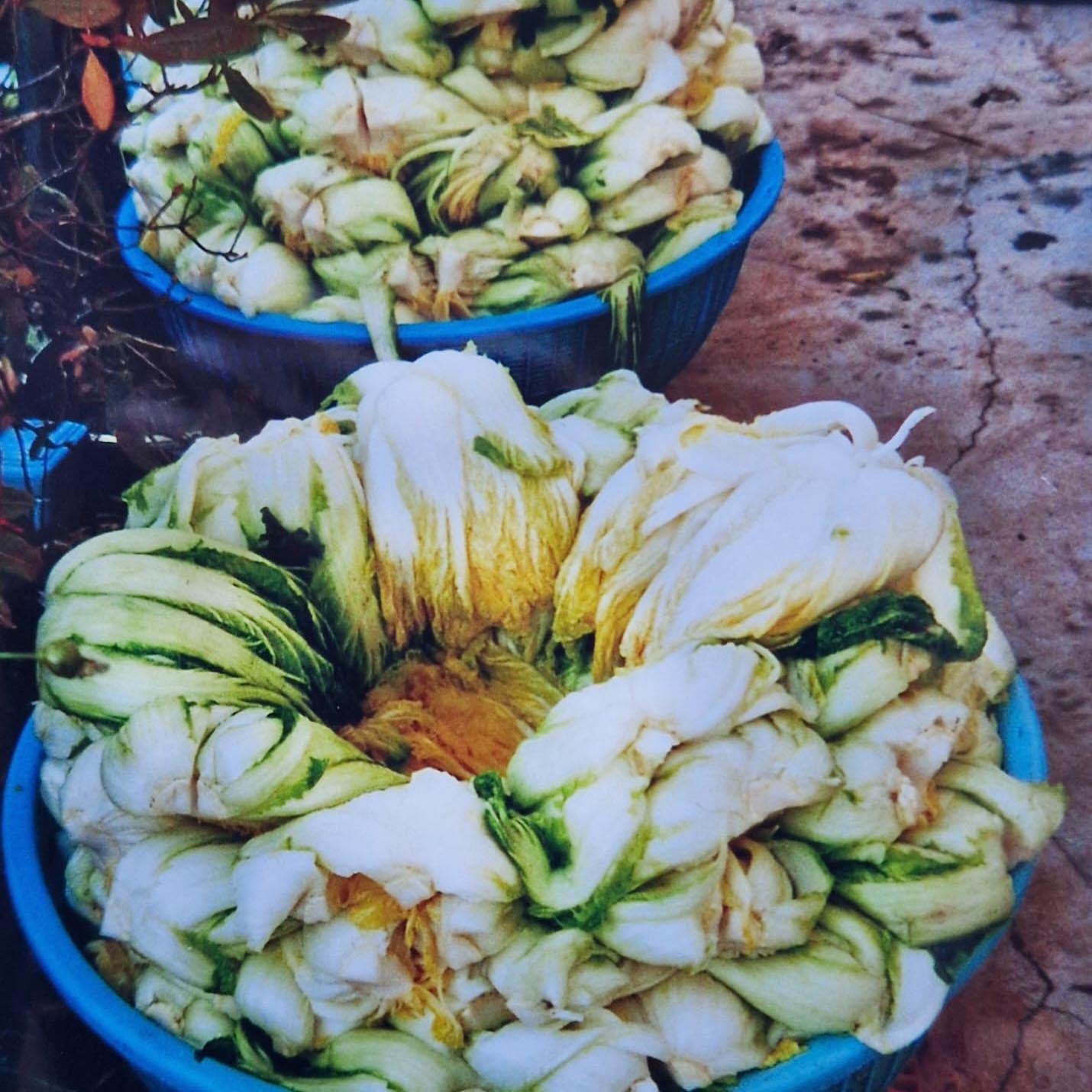 Koreanisches Familienrezept von THATs KiMCHi, ueberliefert aus Korea